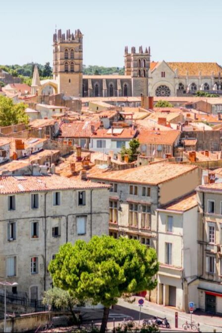Montpellier avec les Pitchouns.