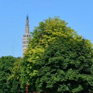 LILLE dans la Nature