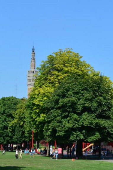 LILLE dans la Nature