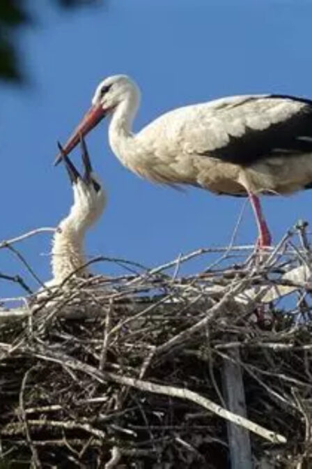Strasbourg et ses alentours