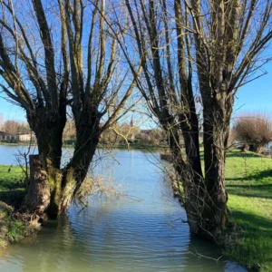 Étang et sentier de promenade dans les Weppes, idée de balade autour de Lille en pleine nature.