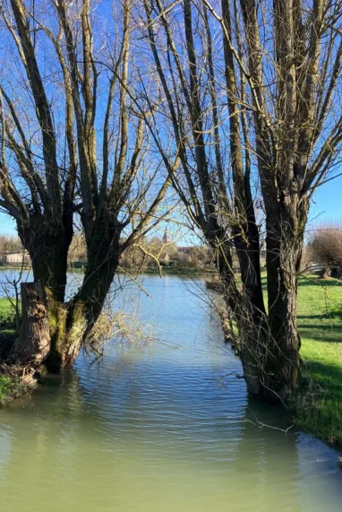 Balade autour de Lille : votre itinéraire au vert dans les Weppes
