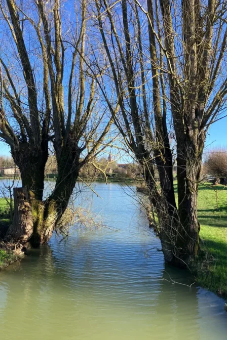 Balade autour de Lille : votre itinéraire au vert dans les Weppes